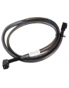 Adaptec Kabel mSASHD --> mSASHD 0,5m - SFF-8643 - SFF-8643 - nr 7