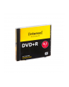 DVD+DL 8x JC 8,5GB Intenso 5 sztuk - nr 12