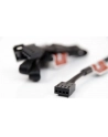 Noctua NF-SEC1 4-Pin przedłużacz - nr 18