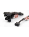 Noctua NF-SEC1 4-Pin przedłużacz - nr 21