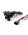 Noctua NF-SEC1 4-Pin przedłużacz - nr 22