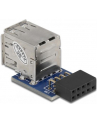 Delock USB Pinheader blue > 2x USB 2.0 blue - nr 18