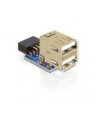 Delock USB Pinheader blue > 2x USB 2.0 blue - nr 6