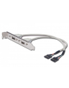 Adapter Śledź 2xUSB 0,3m - nr 17
