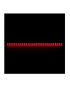 Nanoxia Rigid LED 30 cm Red - nr 5