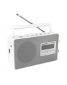 Panasonic RF-D10EG-W white - nr 13