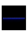Nanoxia Rigid LED 30 cm Blue - nr 5
