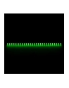 Nanoxia Rigid LED 30 cm Green - nr 1