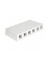 Delock Keystone Obudowa 6 Port white - nr 11