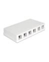 Delock Keystone Obudowa 6 Port white - nr 4