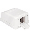 Delock Keystone Obudowa 1P Surface Box - white - nr 11