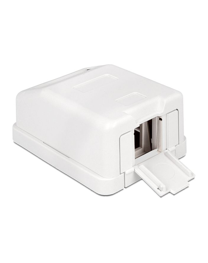 Delock Keystone Obudowa 1P Surface Box - white główny