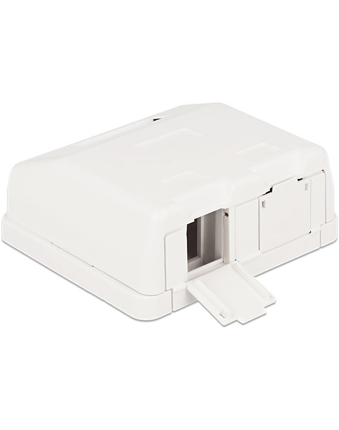 Delock Keystone Obudowa 2P Surface Box - white główny