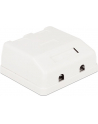 Delock Keystone Obudowa 2P Surface Box - white - nr 4