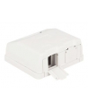 Delock Keystone Obudowa 2P Surface Box - white - nr 5