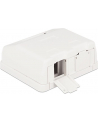 Delock Keystone Obudowa 2P Surface Box - white - nr 8