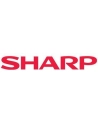Toner Sharp do MX-C250FE/C300WE | 6 000 str. | cyan - nr 10
