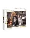 CLEMENTONI 1000 EL.  Lovely Kittens - nr 5