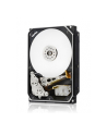 HGST ULTRASTAR 10TB HE SAS 4KN SE 10TB, SAS 12Gb/s, SE, 8.89 cm (3.5 '') , 7200 rpm, 256MB, 4096 Byes/sector - nr 1