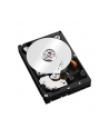 Western Digital Dysk twardy WD Red Pro, 3.5'', 2TB, SATA/600, 7200RPM, 64MB cache - nr 12