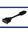 ASSMANN Kabel Displayport 1.1a z zatrzaskiem Typ DP/DVI-I(24+5) M/Ż czarny 0,15m - nr 13