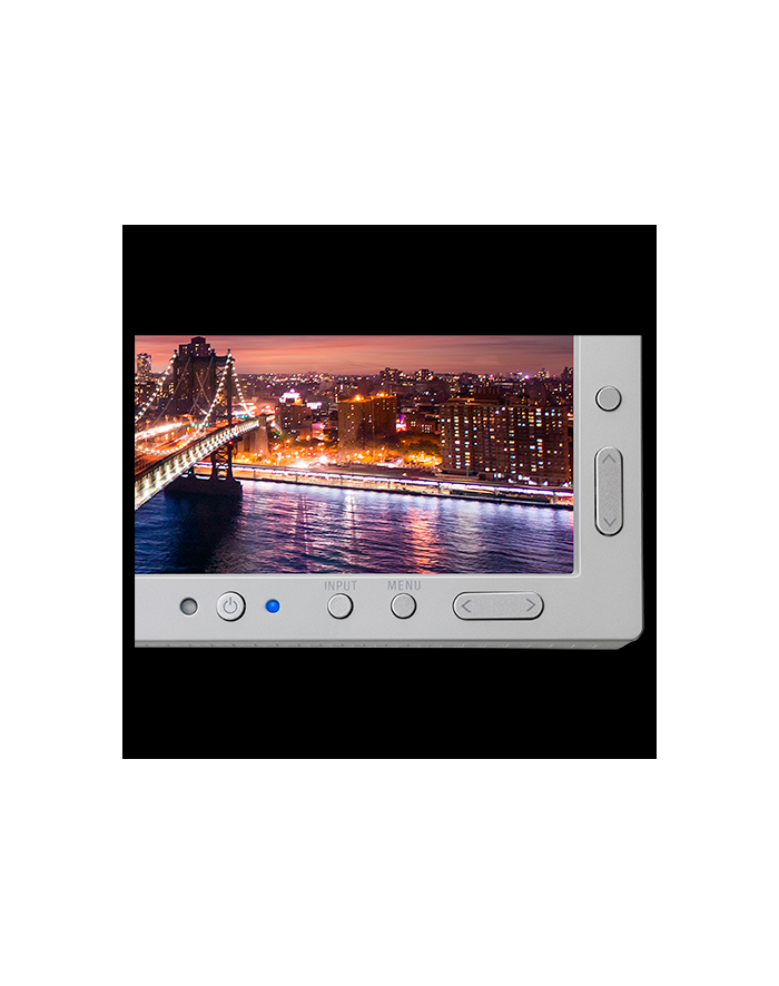 Monitor NEC P212 white, 21.3inch, IPS, 1600x1200, DVI/DP/HDMI główny