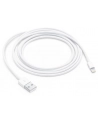 Apple kabel Lightning USB - 2m - bulk - MD819ZM/A Bulk - nr 13
