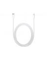 Apple Lightning to USB-C Cable (2 m) - nr 21