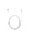Apple Lightning to USB-C Cable (2 m) - nr 29