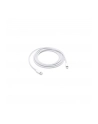 Apple Lightning to USB-C Cable (2 m) - nr 35