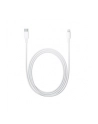 Apple Lightning to USB-C Cable (2 m) - nr 40