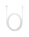 Apple Lightning to USB-C Cable (2 m) - nr 41