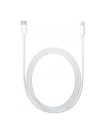 Apple Lightning to USB-C Cable (2 m) - nr 43