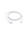 Apple kabel Lightning USB - 2m - bulk - MD819ZM/A Bulk - nr 7