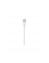 Apple kabel Lightning USB - 2m - bulk - MD819ZM/A Bulk - nr 13