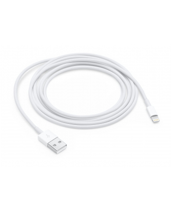 Apple kabel Lightning USB - 2m - bulk - MD819ZM/A Bulk