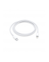 Apple Lightning to USB-C Cable (1 m) - nr 12
