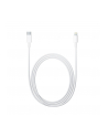 Apple Lightning to USB-C Cable (1 m) - nr 1