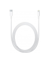 Apple Lightning to USB-C Cable (1 m) - nr 17