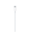 Apple Lightning to USB-C Cable (1 m) - nr 19