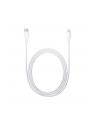 Apple Lightning to USB-C Cable (1 m) - nr 21