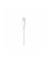 Apple Lightning to USB-C Cable (1 m) - nr 22