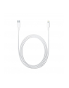 Apple Lightning to USB-C Cable (1 m) - nr 25
