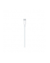 Apple Lightning to USB-C Cable (2 m) - nr 39