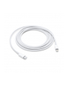 Apple Lightning to USB-C Cable (2 m) - nr 16