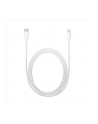 Apple Lightning to USB-C Cable (2 m) - nr 19