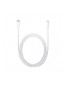 Apple Lightning to USB-C Cable (2 m) - nr 23