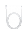 Apple Lightning to USB-C Cable (2 m) - nr 24