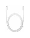 Apple Lightning to USB-C Cable (2 m) - nr 26