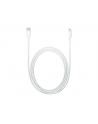 Apple Lightning to USB-C Cable (2 m) - nr 27